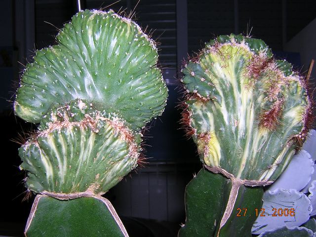 DSCN9031.JPG