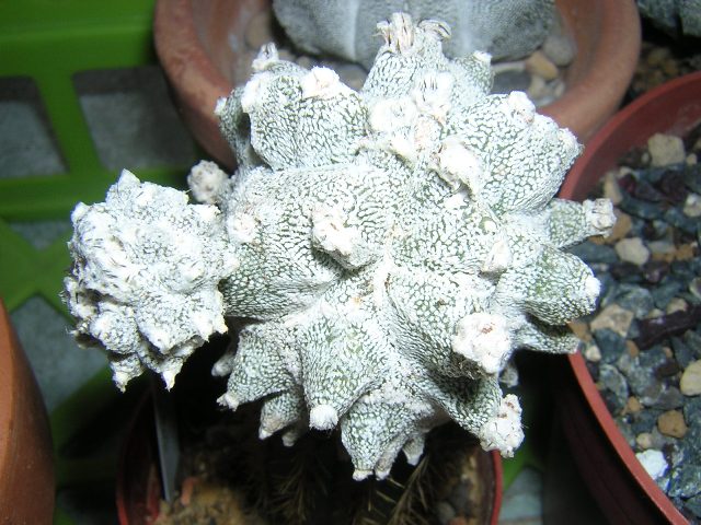 DSCN9237.JPG