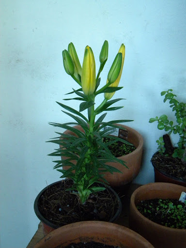 DSCN9619.JPG