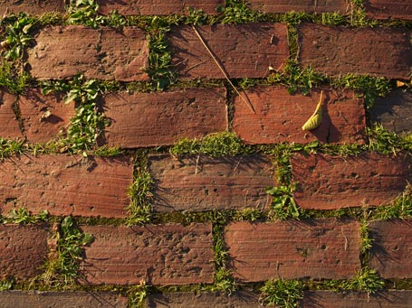 dssbrickpavers-main.jpg