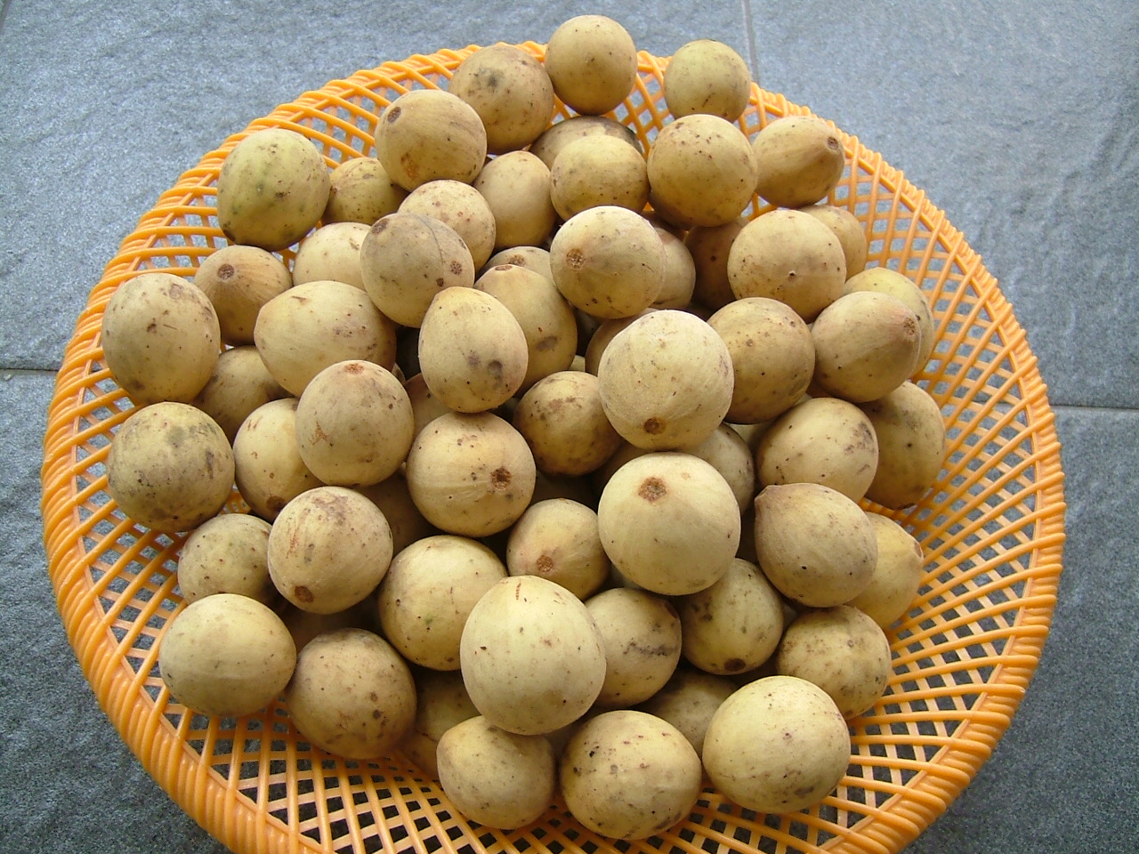 Duku_Lansium_domesticum_Ripe.jpg