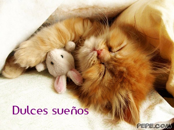 dulces_suenos_42.jpg