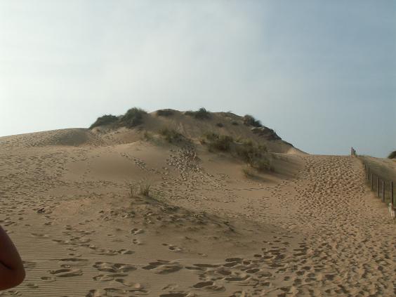 DUNAS0.JPG
