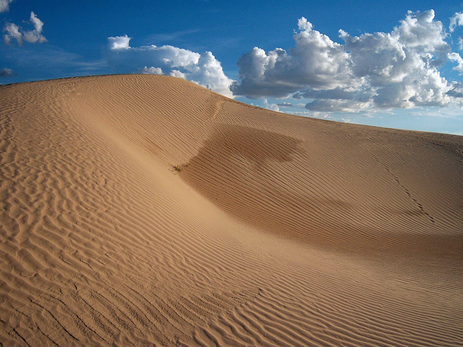 Dunas_samalayuca.jpg