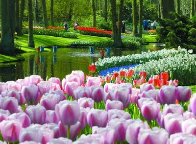 e-los-jardines-de-flores-m%25C3%25A1s-reconocido-en-Europa-a-40-kil%25C3%25B3metros-de-Amsterdam.jpg