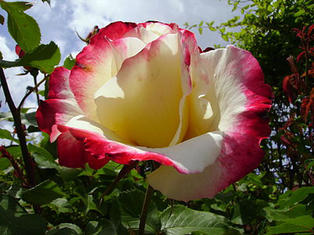 e20a41a7.jpg