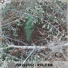e513dd1922c7572af7c7f8aa3d6d3904o.jpg