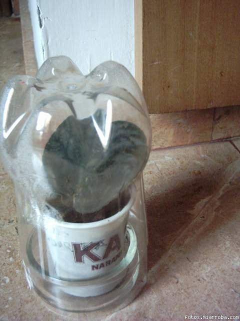 e6757f4c.jpg