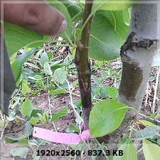 e7bd722d173ceea557f028038b2f4bcdo.jpg