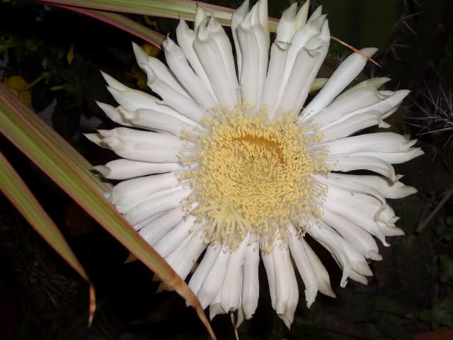 e8308e80.jpg