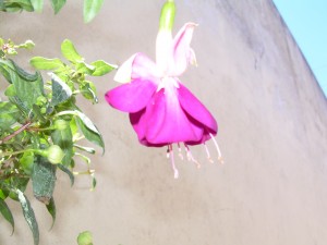 e83d2a170355217.jpg