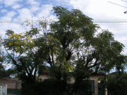 e88a7c29427289.gif