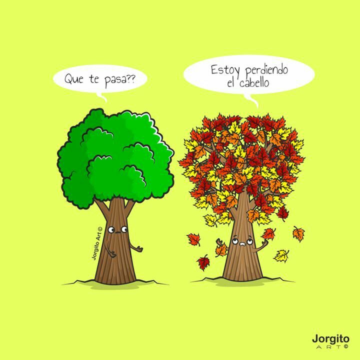 e994f1c90b49ec51f2d5c7726455b499--spanish-memes-funny-images.jpg