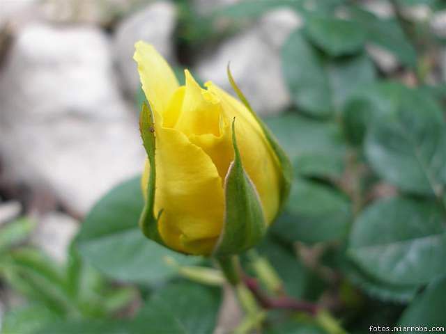 e9f3849a.jpg