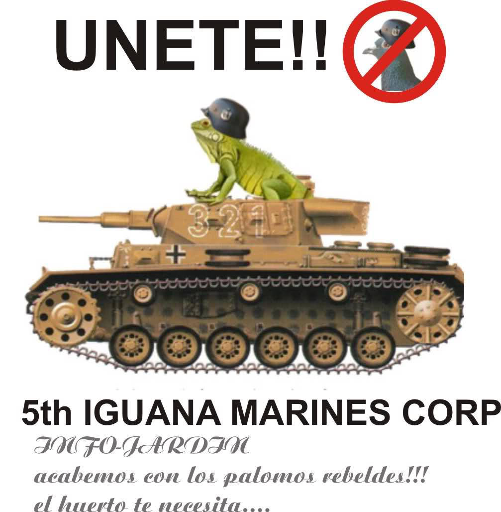 e9tf09.jpg