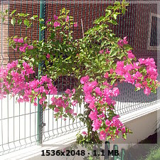 eaa3ca8e16689da00788167e30ee1d0eo.jpg