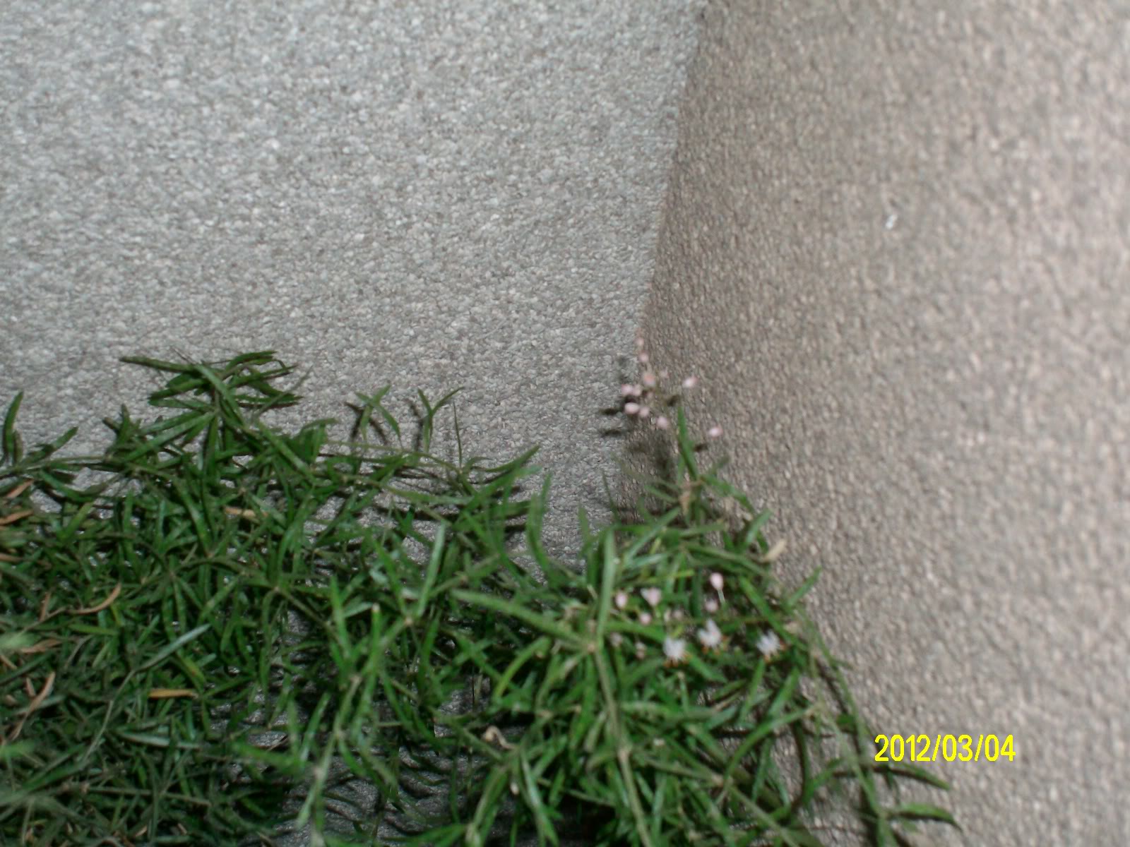 eb7b3709.jpg