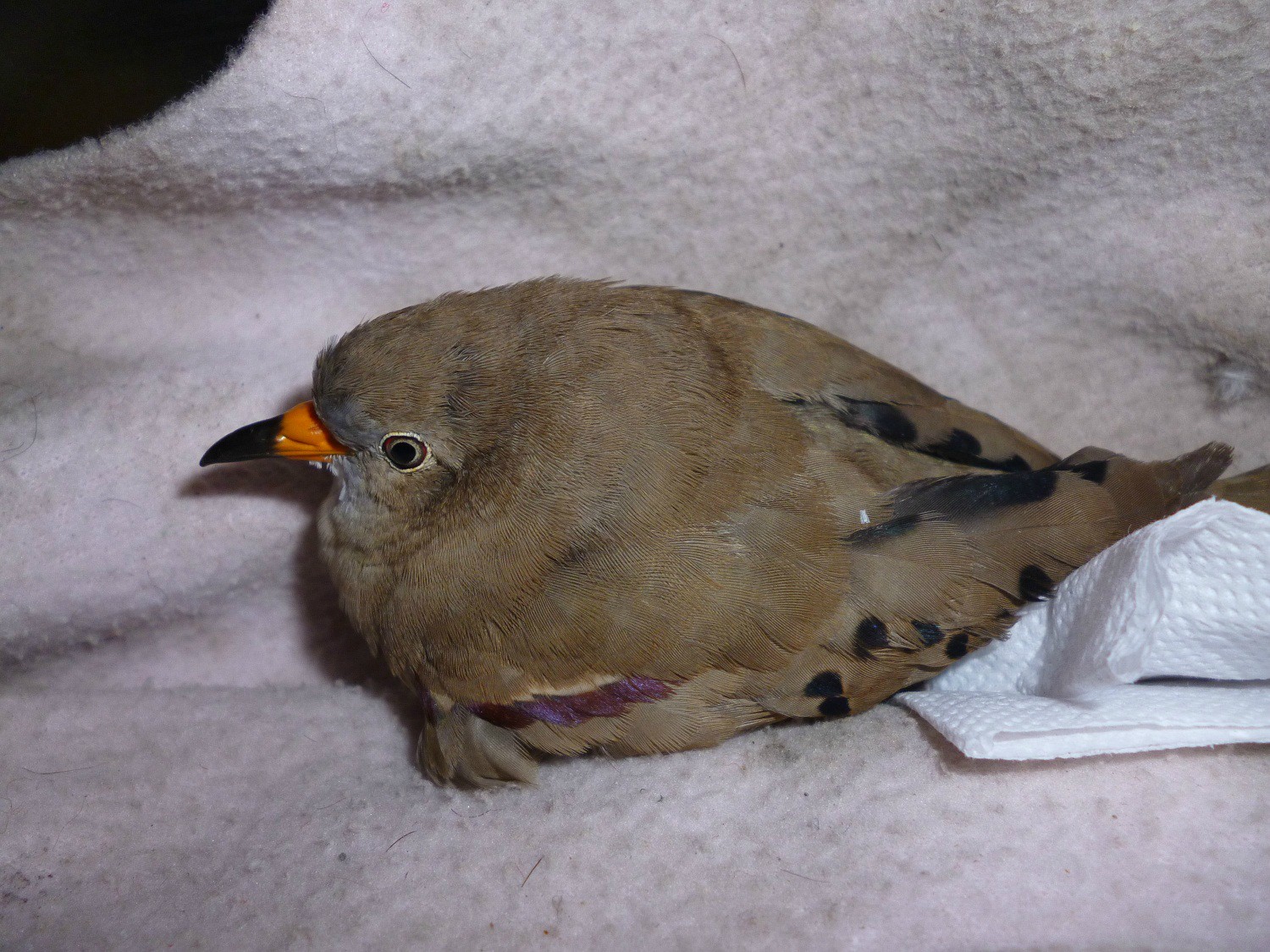EbP8m.jpg