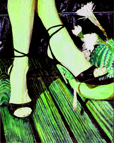 echinopsis-lejanos.jpg
