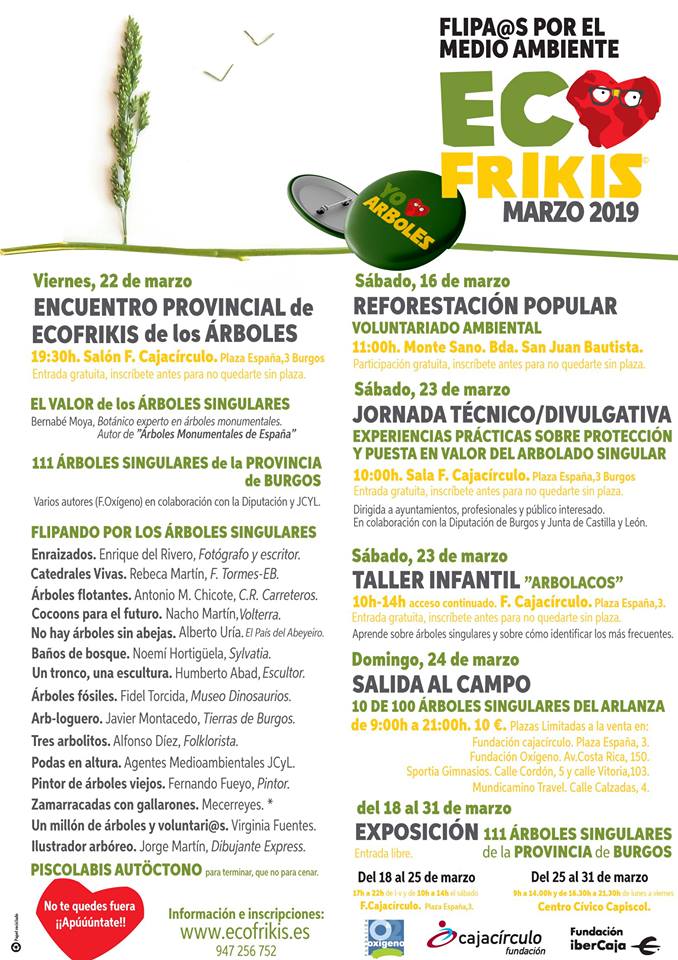 Ecofrikis%2Bencuentro%2B2019.jpg