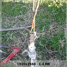 edafd12efbf4260893d5dd1924b43a22o.jpg