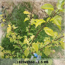 ef719815c94fdb6a147f6475212715a0o.jpg