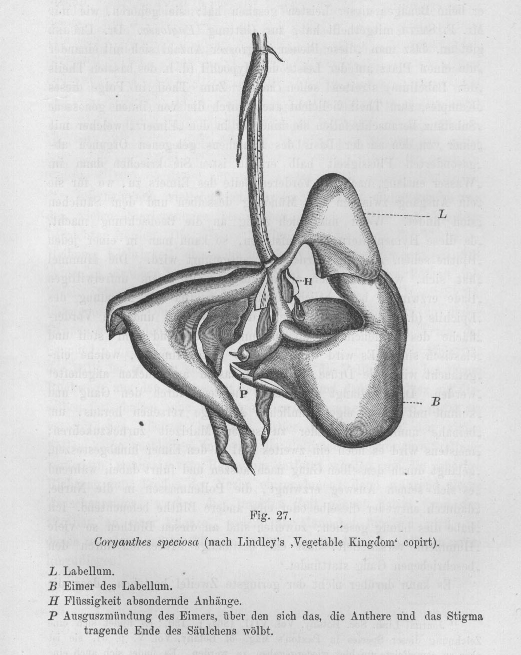 EimerGr.jpe