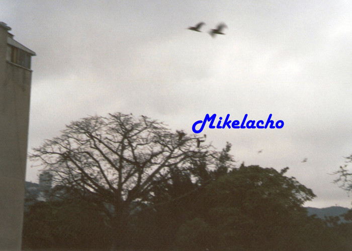 el_grupo_llegando.jpg
