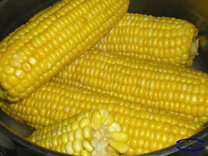 ElotesCocidos.jpg