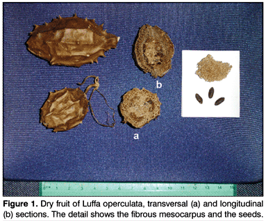 en_a03fig01.gif