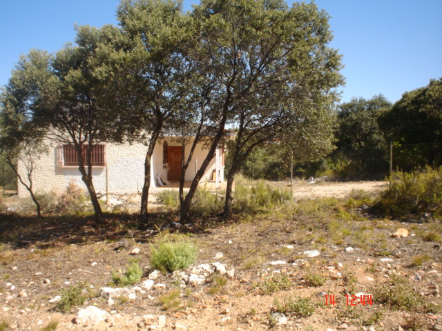 encinas3.jpg