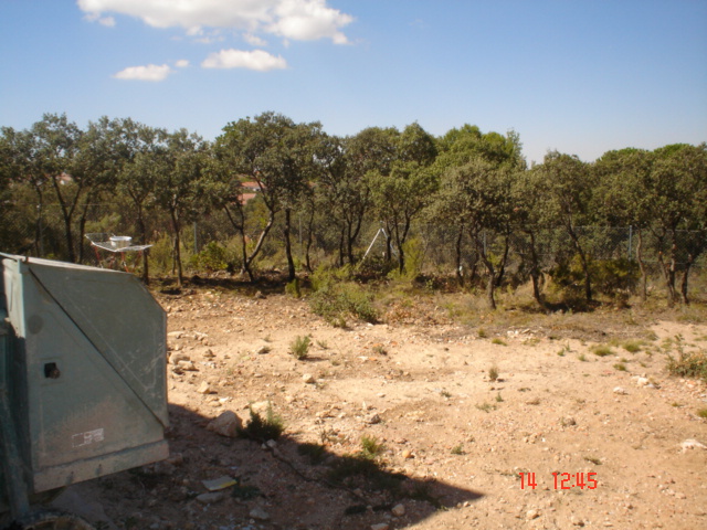 encinas6.jpg