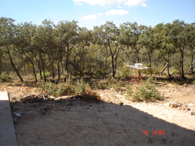 encinas7.jpg
