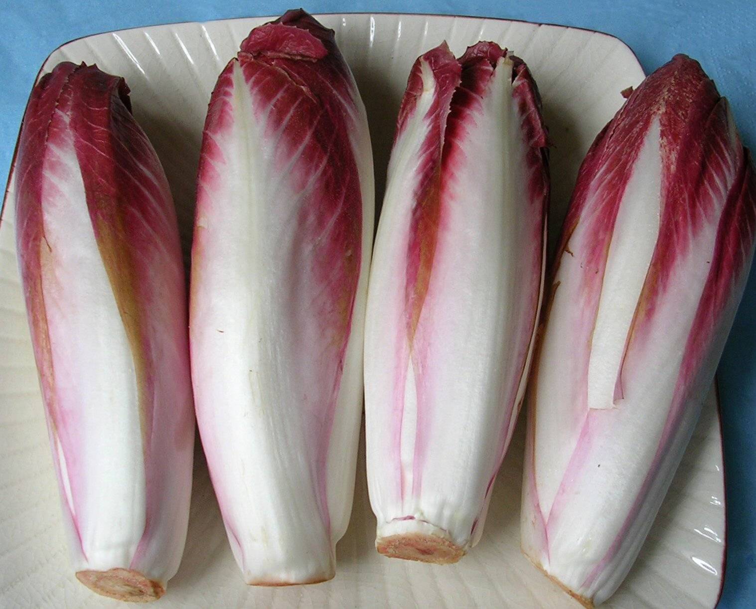Endives_rouges.jpg