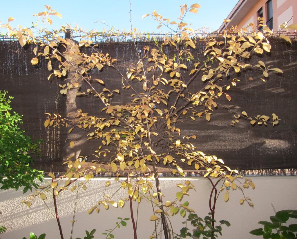endri-1.jpg