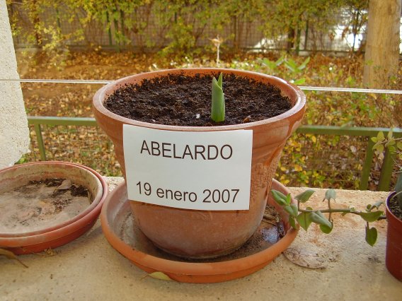 enero 1.JPG