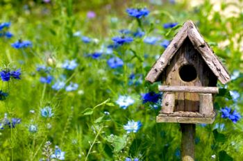 english-garden-landscape-design-5.jpg