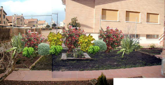 entrada%20feb%20proyecto%201.jpg
