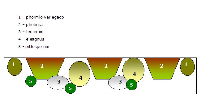 entrada%20feb%20proyecto%202.jpg