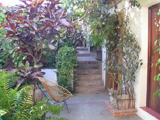 entrance-garden.jpg