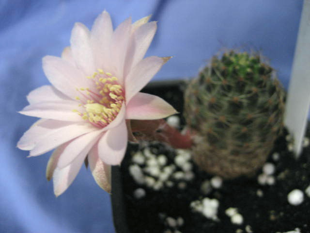 eos3.jpg