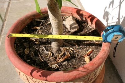 EOS_20101115_999_10.JPG