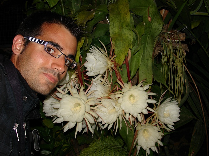 epiphyllum_oxypetalum.jpg