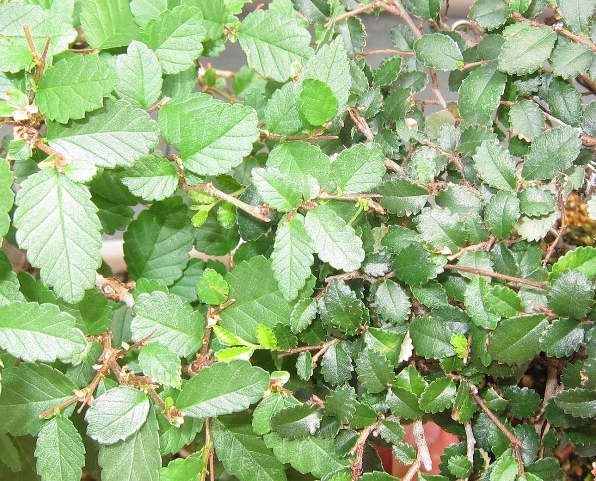 EqxUS-SxVeRW7DHoYD0BQjeUeXMbmcGuPvV6RN_bWdB6=w1184-h955-no.jpg