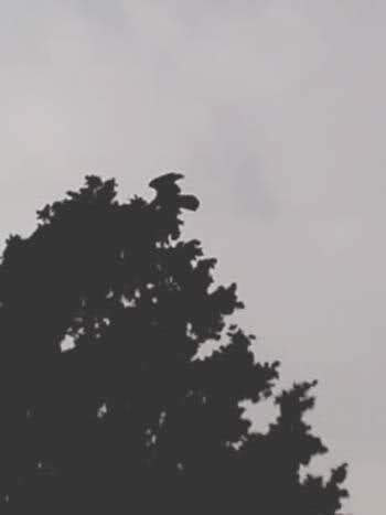 er0h03.jpg