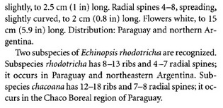 Erhodotrica_2TheCactusFamily.jpg