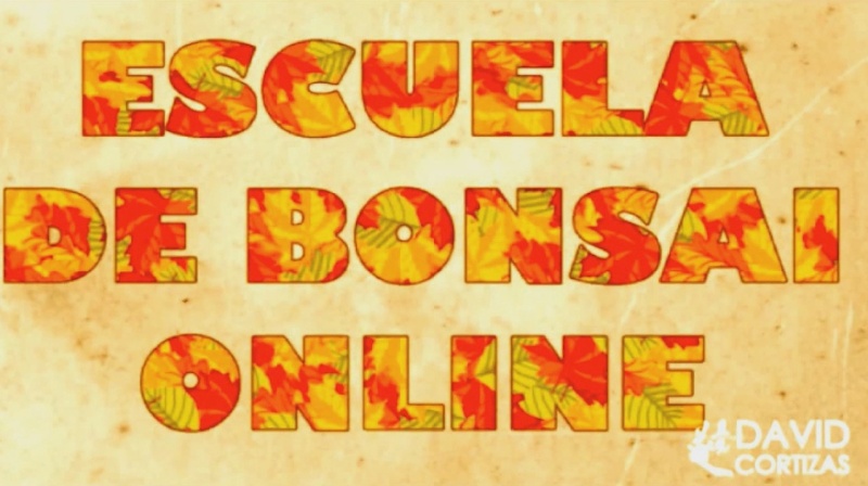escuel10.jpg