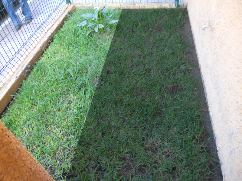 espacio-para-jardin.png