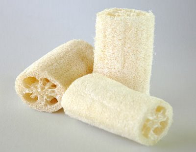 esponja.jpg