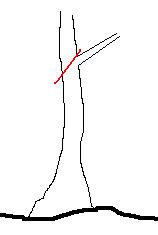 ESQUEMA_1.JPG